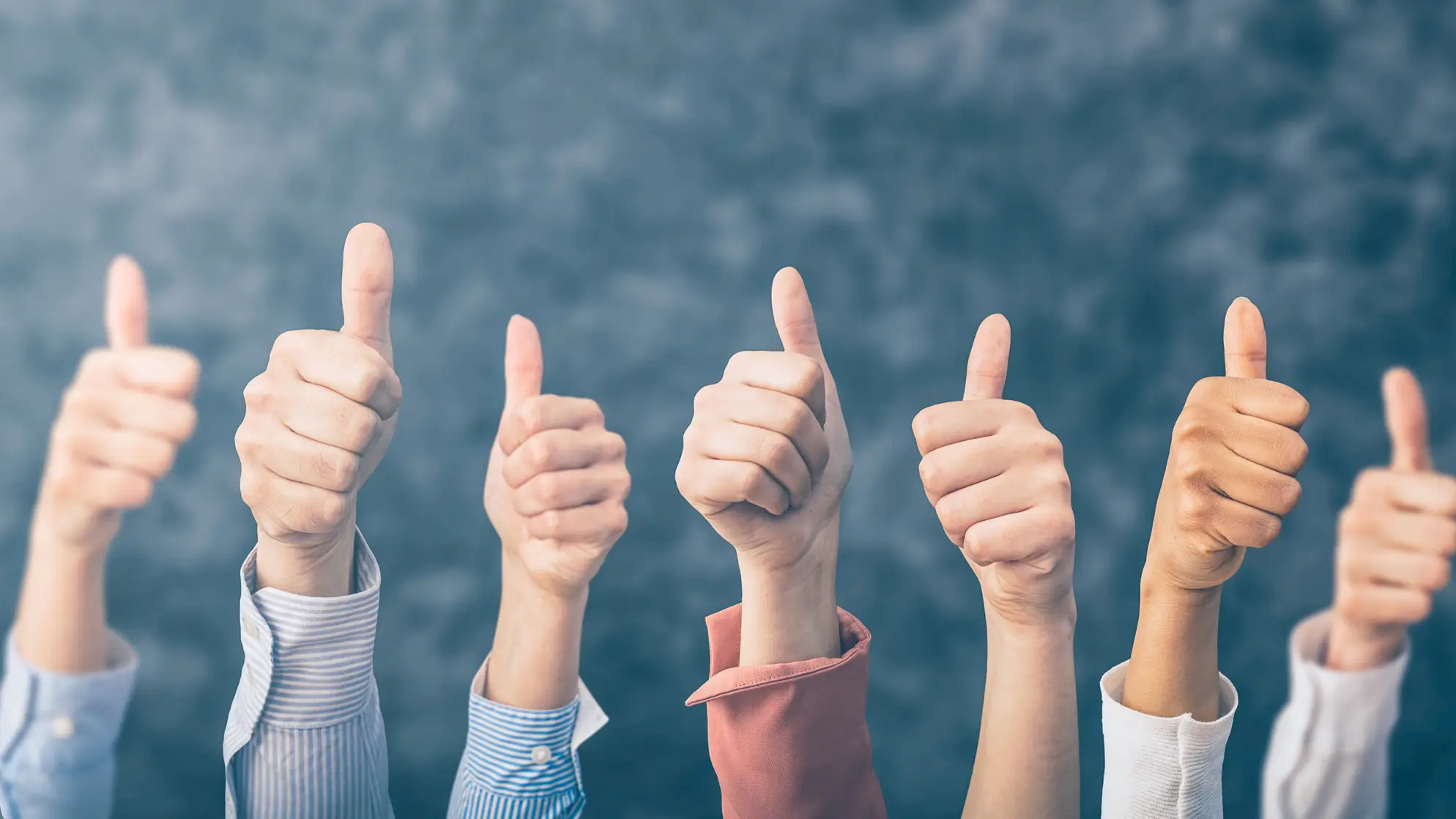 eine starkte Kultur Hero BIBUS AG CH