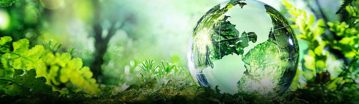 bibus-nachhaltigkeitsstrategie